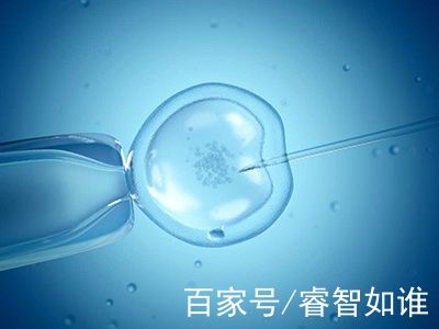 李雪梅