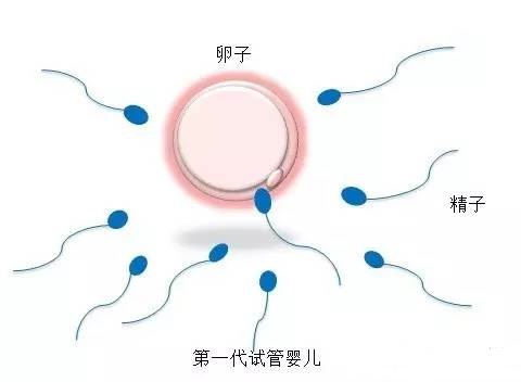 陈思远